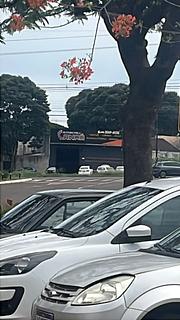 Mecânico de Confiança