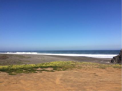 Memorial beach camp