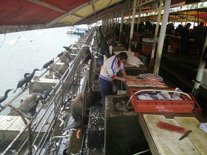 Mercado de Peixes