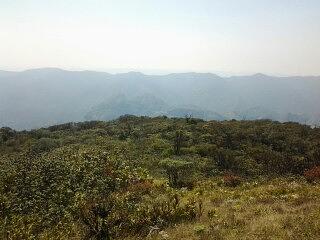 Mirador