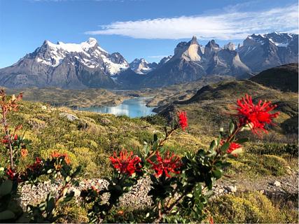 Mirador Cóndor