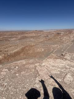 Mirador Coyote