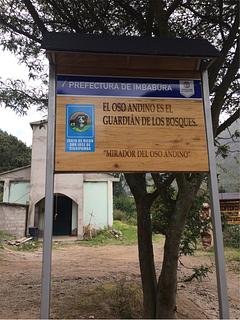 Mirador del Oso Andino