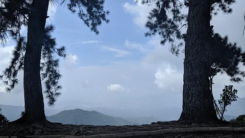 Mirador Los Pinos