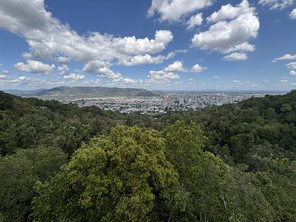 Monumento Natural Cerro Ñielol