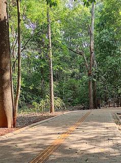 Bosque Municipal