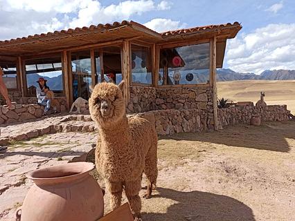 Mountain view experience / Restaurante Ancestral - Maras