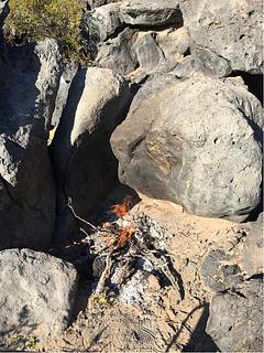Mt. Lava