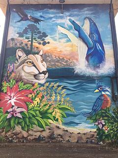 Murales - Wall paintings Museo a Cielo Alberto