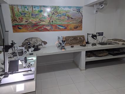Museo de Historia Natural de Tatacoa