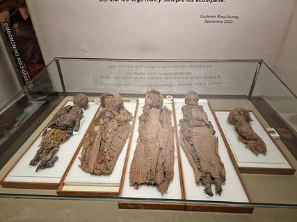 Museo regional