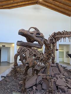Museu de dinossauros