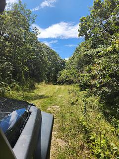 Não é uma estrada de passagem
