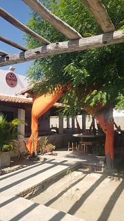 O Cafezao