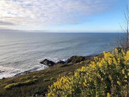ocean view