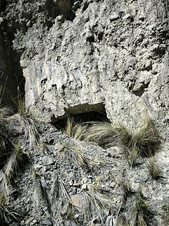 Old Mine