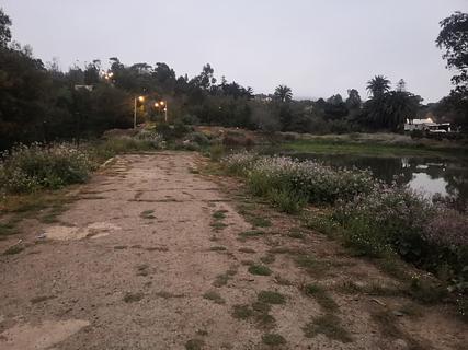 Old pier