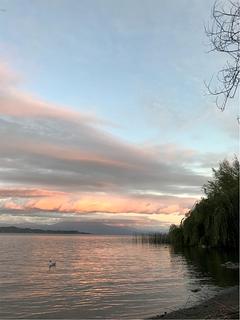 Orilla del Río puerto octay