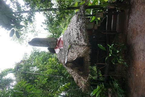 Ótimo guia turístico 'Jaguarsirius'
