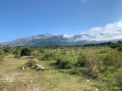 Outside Tafi