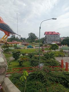 Overnight no parque