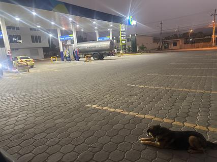 P&S Gas