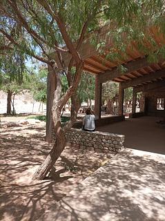 Palo Blanco Camping