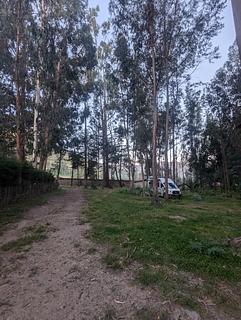 Pamuri Andes Lodge