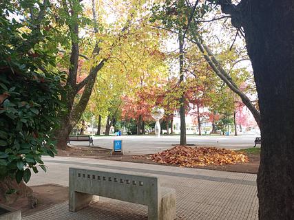 Panimavida park