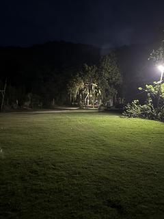 Paraná mirim