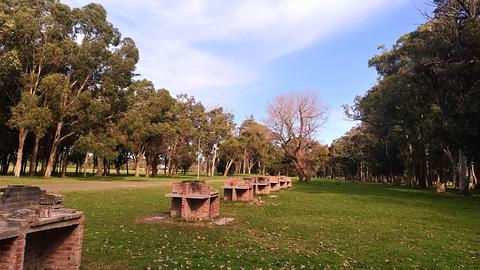 Parque Camet cheio de papagaios!!
