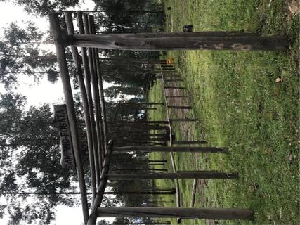 Parque Carigan FREE Camping