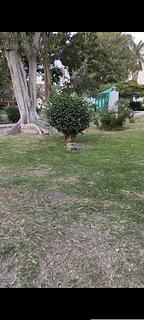 Parque ecologista Los Choloques