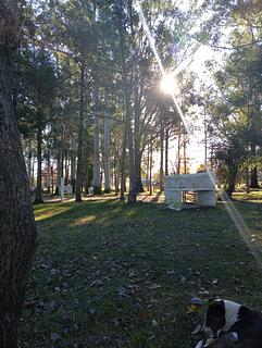 Parque Elias Regules