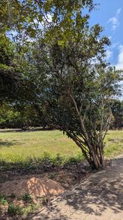 Parque grande pipa