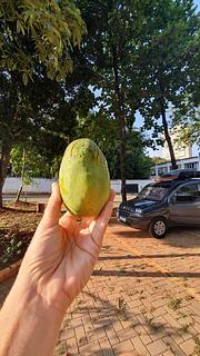 Parque Ipiranga