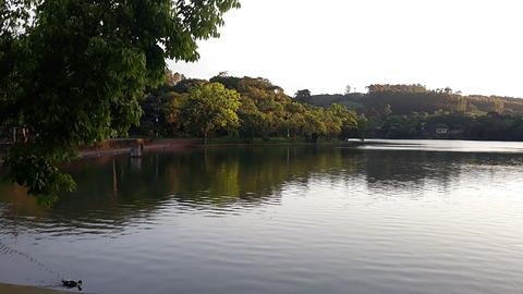 Parque da Lagoa
