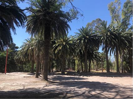 Parque de Mayo-la Isla