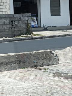 Parque Municipal Pujili