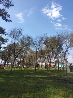 Parque municipal Tala