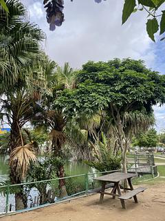 Parque municipal