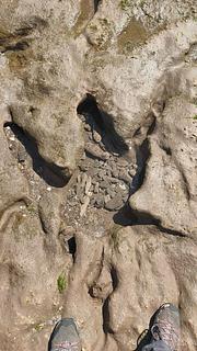 Parque nacional com pegadas fossilizadas de mamíferos pré-históricos