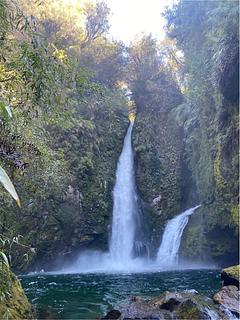 Parque Pumalín – Sendero Cascadas Escondidas