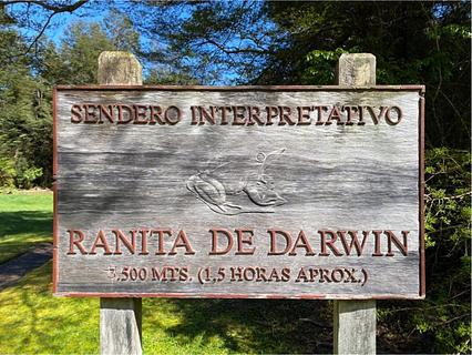 Parque Pumalín – Sendero Interpretación Ranita de Darwin