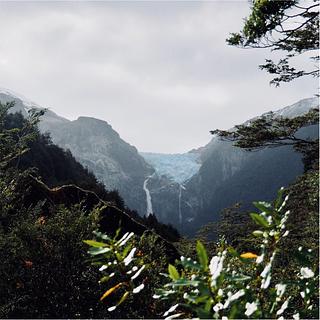 Parque Queulat - Entrada
