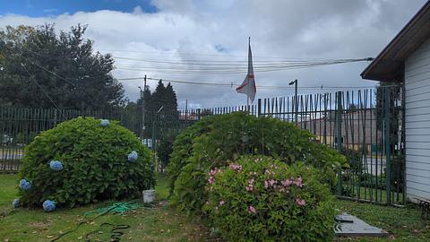Parque Saval