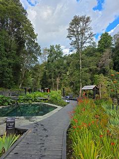 Parque Termal Botanico