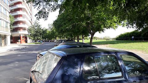 parque tranquilo