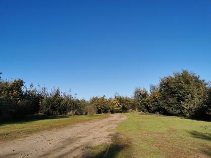 Parque verde remoto