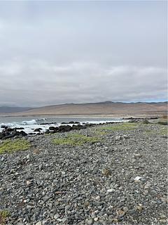 Paseo Baratillo